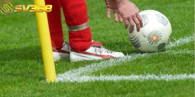 Người chơi có thể tham khảo phân tích từ các chuyên gia